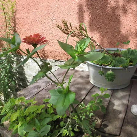 Centro Arte Hotel Cabbiolo