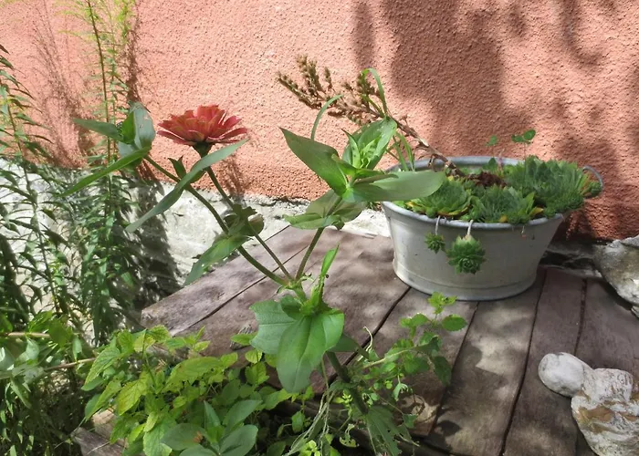 Centro Arte Hotel Cabbiolo